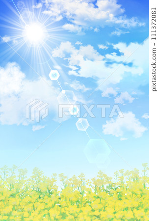 Rapeseed flower field and blue sky landscape vertical 111372081