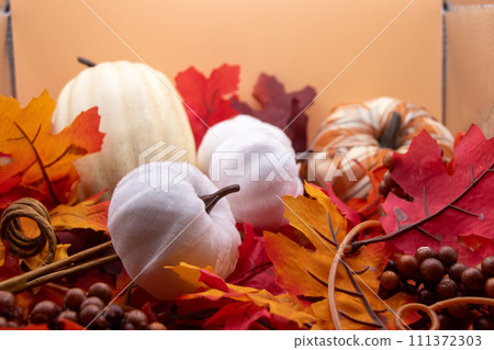 Festive autumn halloween fall harvest background pumpkin's and squash 111372303