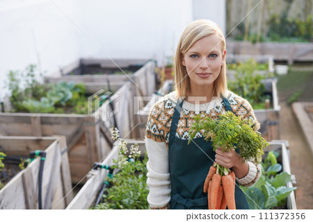 Garden, carrot and portrait of woman with plants for landscaping, planting flowers and growth. Agriculture, nature and happy person with vegetables outdoors for environment, nursery and gardening Garden, carrot and portrait of woman with plants for landscaping, planting flowers and growth. Agriculture, nature and happy person with vegetables outdoors for environment, nursery and gardening 111372356