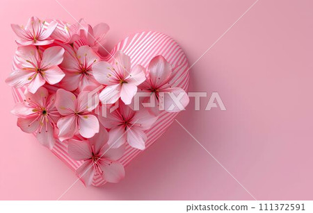 spring sakura on pink background spring sakura on pink background 111372591