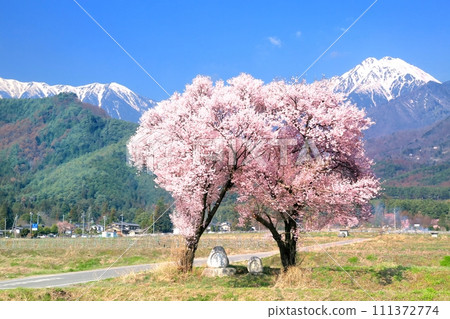 Jonen Dosojin and Mt. Jonen Jonen Dosojin and Mt. Jonen 111372774