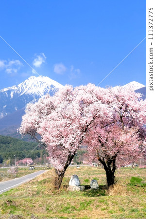 Jonen Dosojin and Mt. Jonen Jonen Dosojin and Mt. Jonen 111372775