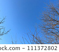 晴朗的秋冬天氣和光禿禿的落葉樹 111372802