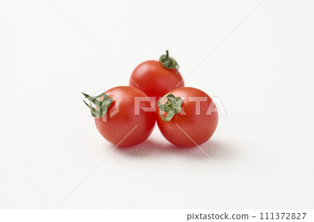 Mini Tomato Mini Tomato 111372827