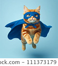 Super hero cat go back 111373179