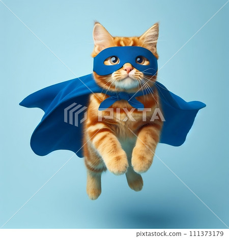 Super hero cat go back 111373179