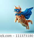Super hero cat go back 111373180