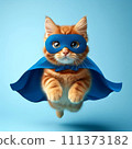 Super hero cat go back 111373182