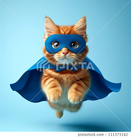 Super hero cat go back 111373182