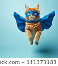 Super hero cat go back 111373183