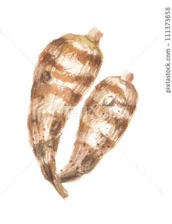 Ebiimo 水彩畫 Ebiimo 111373658