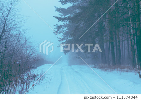 Country road covered with snow in the winter forest on a foggy morning. Winter nature Country road covered with snow in the winter forest on a foggy morning. Winter nature 111374044