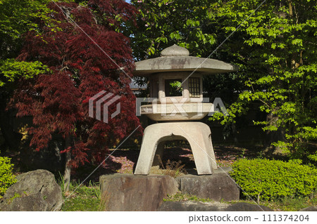 有燈籠的日本庭院 有燈籠的日本庭院 111374204