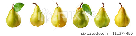 Pear vector set isolated on white background Pear vector set isolated on white background 111374490