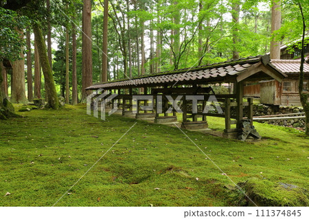 石川縣小松市日與町日與青苔村日與神社 111374845