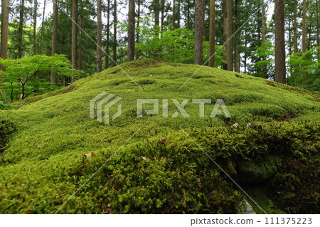 石川縣小松市日與町 111375223