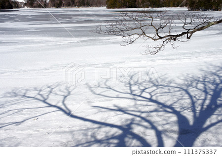 晴朗冬日的奧日光湯野湖。潔白的雪面令人眼花撩亂。我們度過了一個平靜的冬天。 晴朗冬日的奧日光湯野湖。潔白的雪面令人眼花撩亂。我們度過了一個平靜的冬天。 111375337