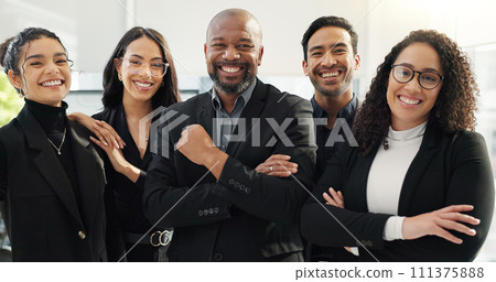 Business people, arms crossed and diversity, face and teamwork with financial advisor group in the workplace. Professional, collaboration and trust, confidence in portrait and accounting partners 111375888