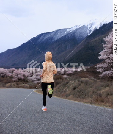 Woman running in spring tibet,peach flowers blooming and snow capped mountains in the background, China 111376277