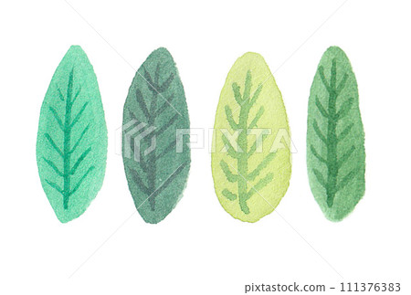 Illustration of straight, round, long leaves drawn with transparent watercolors Illustration of straight, round, long leaves drawn with transparent watercolors 111376383