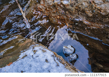 [Maki River] Parent and child of ice [Sakiri Gorge] 111377915