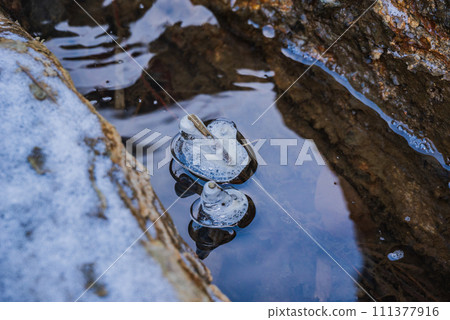 [Maki River] Parent and child of ice [Sakiri Gorge] 111377916