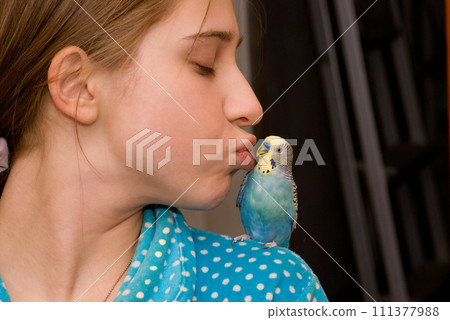 Girl and budgie rissing 111377988