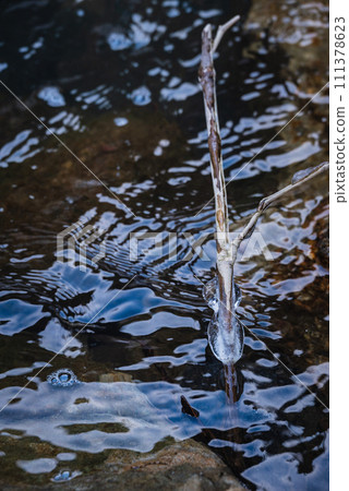 [Maki River] Cute ice [Sakiri Gorge] 111378623
