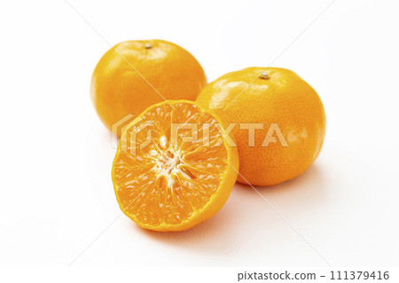 mandarin orange on white background mandarin orange on white background 111379416
