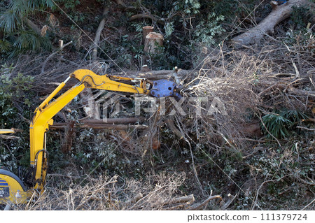 Deforestation_05 Deforestation_05 111379724
