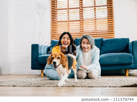 Active and healthy living, A woman and her mother enjoy a friendly run with their Beagle dog in the comfort of their home's living room. Their bond is evident in their joy. pet love 111379744