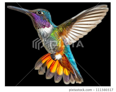 AI-generated content. A Colorful hummingbird flying AI-generated content. A Colorful hummingbird flying 111380317