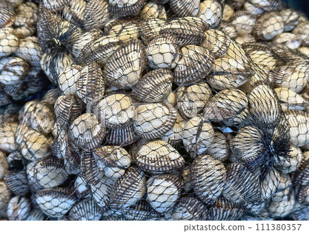 Cockles in Jukdo fish market, Pohang, South Korea. Cockles in Jukdo fish market, Pohang, South Korea. 111380357