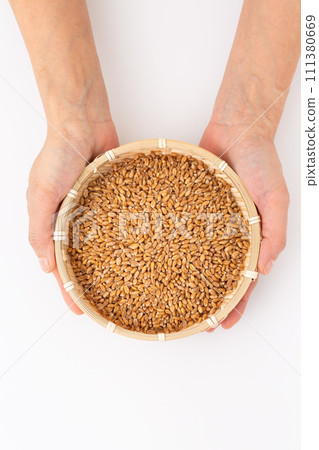 婦女用小麥的手 111380669