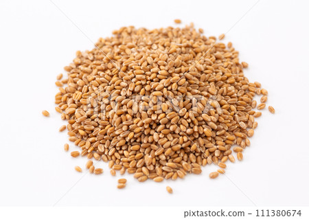 Wheat Wheat 111380674