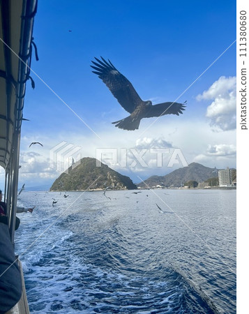 托比飛越大海 托比飛越大海 111380680