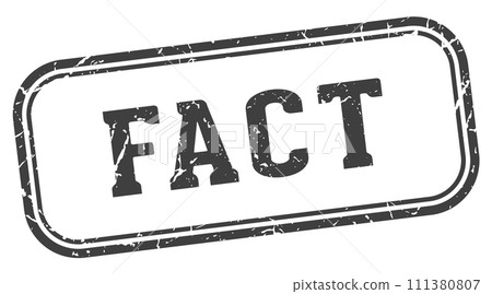 fact stamp. fact rectangular stamp on white background 111380807