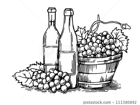 bottles of wine and a basket of grapes. vintage drawing in sketch style. black and white illustration 111380892