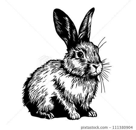 vector drawing in sketch style. vintage rabbit. Easter bunny, hare. black and white illustration 111380904