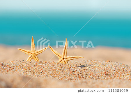 Two orange starfish on summer sandy beach with blurred sea background. Vacations, travel, relaxation. Copy space 111381059