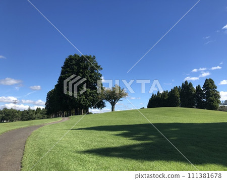 Blue sky green hill ~ 111381678