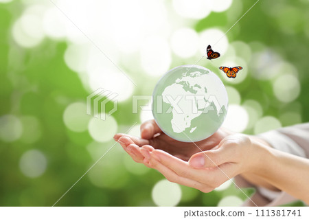 Woman's hand holding a glass globe Woman's hand holding a glass globe 111381741