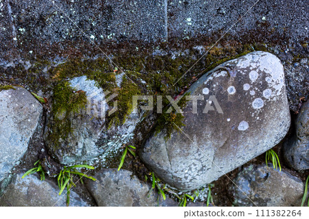 Old cobble stone wall with moss Old cobble stone wall with moss 111382264