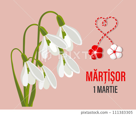 Martisor, Moldovan and Romanian traditional spring holiday. Bouquet of white snowdrops. Floral spring background, postcard, vector 111383305