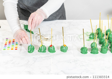 Decorating cactus cake pops with luster dust, sugar glower, and white sprinkles for the Cinco de Mayo celebration. Decorating cactus cake pops with luster dust, sugar glower, and white sprinkles for the Cinco de Mayo celebration. 111383314