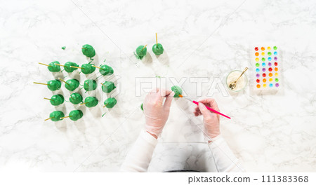 Flat lay. Decorating cactus cake pops with luster dust, sugar glower, and white sprinkles for the Cinco de Mayo celebration. Flat lay. Decorating cactus cake pops with luster dust, sugar glower, and white sprinkles for the Cinco de Mayo celebration. 111383368