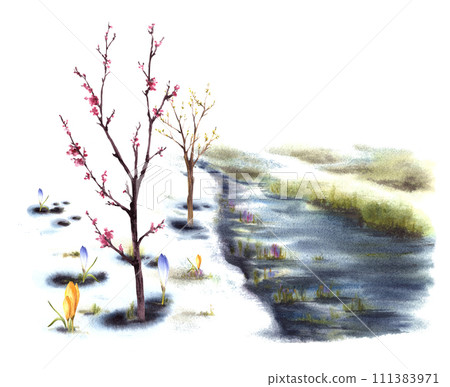 Watercolor landscape Primary plants flowers, blossoming spring trees of cherry, sakura or apricot, stream, the first grass breaking through the snow. Hand painted isolated clipart on white background 111383971
