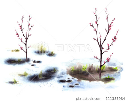 Primary plants flowers, blossoming spring trees of cherry, sakura, apricot or peach on background of melting snow. Hand drawn watercolor landscape Nature awakening after winter isolated illustration  111383984