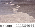 Frozen lake 111384044