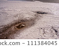 Frozen lake 111384045